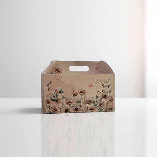 پک پذیرایی مجالس مقوایی راگاپک