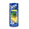 رانی-آناناس-دبل-تیکه-۲۴۰-میلی-لیتری-راگاپک