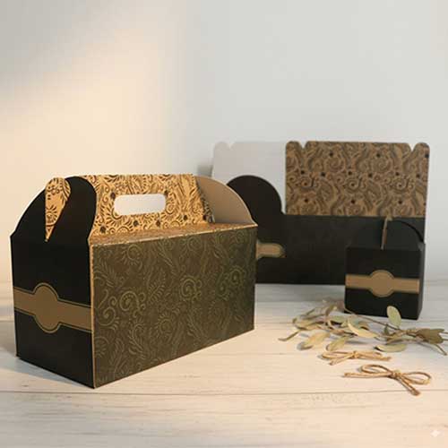 پک مقوایی جنرال شماره 3 راگاپک