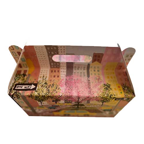 پک پذیرایی مهدکودک و مدرسه راگاپک