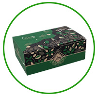 پک همایش راگاپک